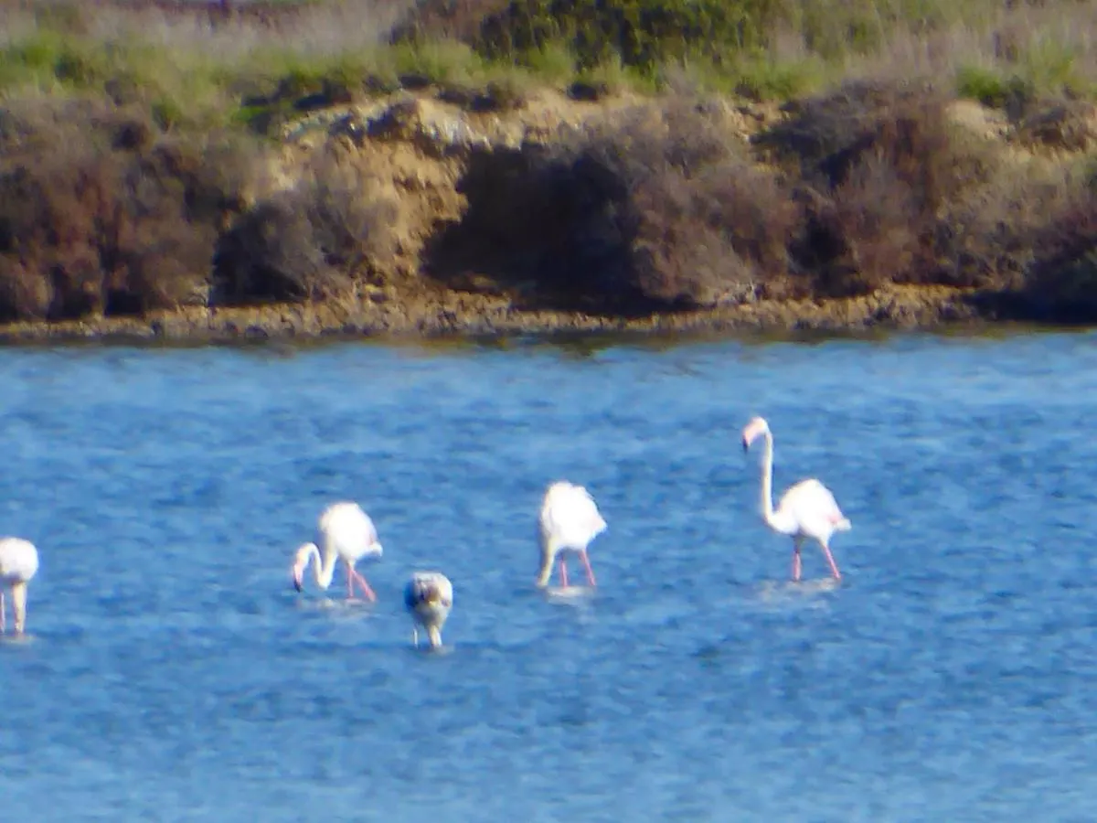 Affittacamere orbetello centro 0*,  Italia